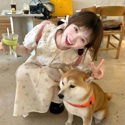 林中绮谭封面